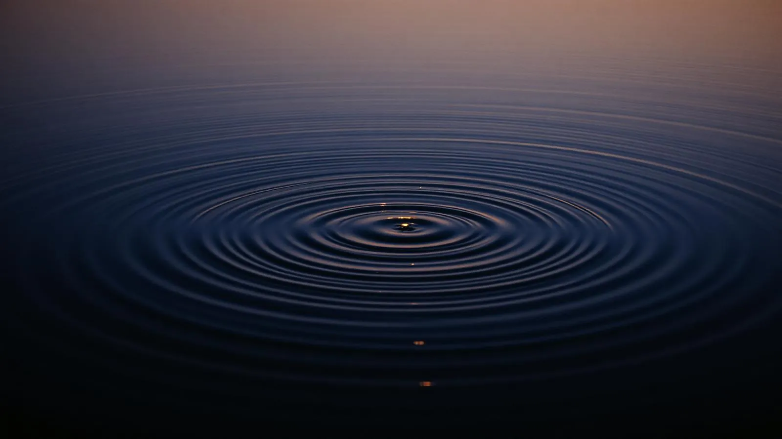 Concentric ripples expanding across still water at dusk